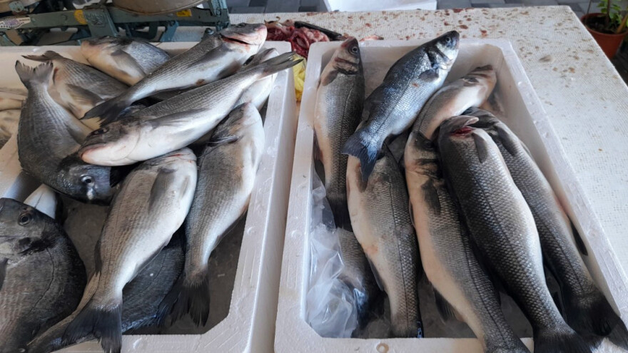 Stigli novi podaci: Bilježimo rekordnu potrošnju ribe po glavi stanovnika