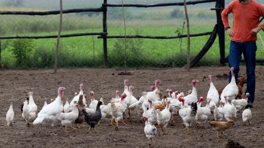 TTIP: Noćna mora EU poljoprivrede