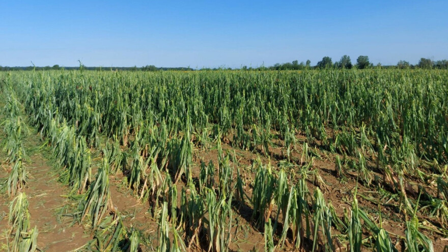 Zbog oluje i afričke svinjske kuge ne možete ispuniti obveze vezano za potpore? Evo što će biti