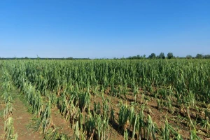 Imali ste štetu od prirodne nepogode? Provjerite račune