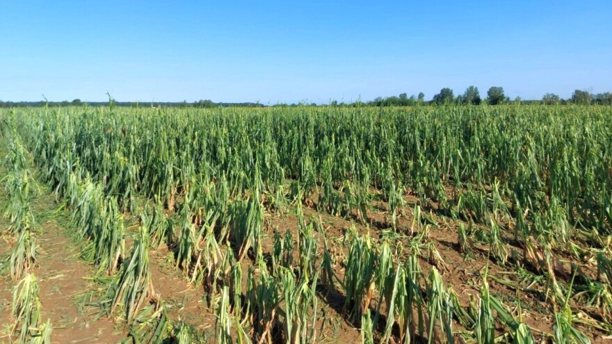 Objavljen natječaj: Za obnovu poljoprivrednog zemljišta i proizvodnog potencijala 2 milijuna eura