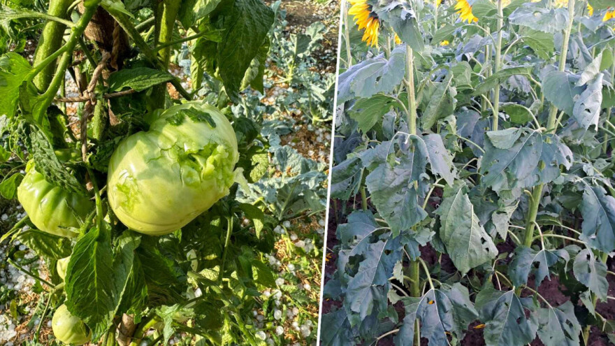 Tuča poharala kopneni dio Hrvatske - nastale su ogromne štete