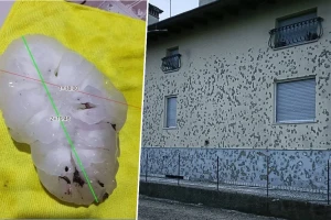Padao grad ovalnog oblika dužine 19 cm - oboren evropski rekord