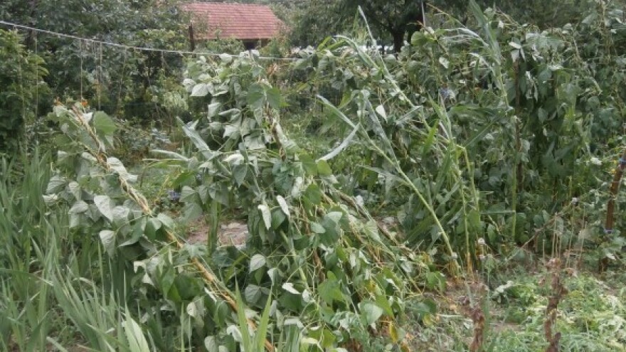 Očekuje nas nestabilno vrijeme s pljuskovima!