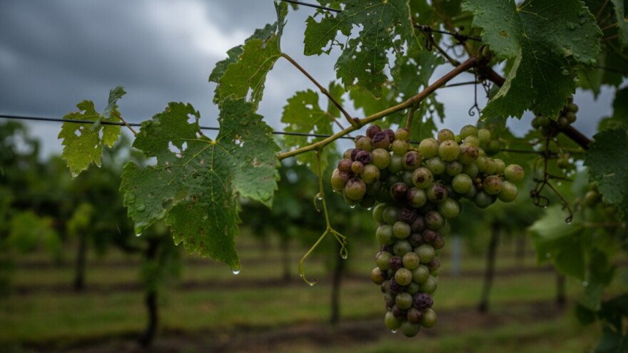 Tuča pogodila slatinsko područje