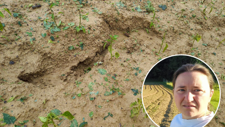 Koliko još usjeva mora biti uništeno od tuče da bi shvatili da se nešto mora mijenjati?