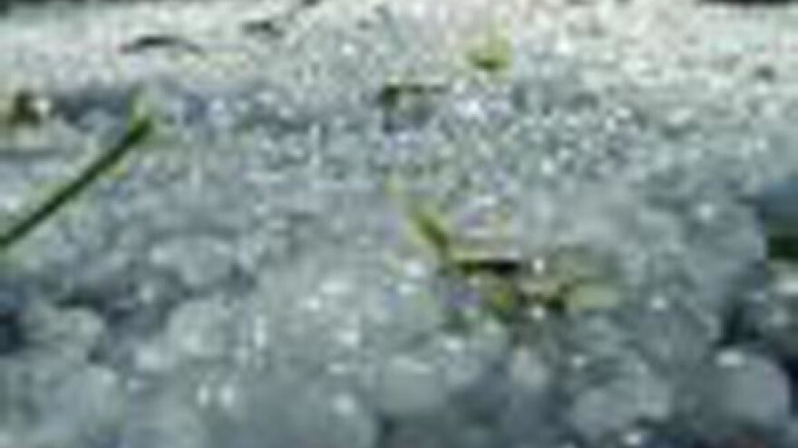 Led u Požeštini 'obrao' voće i povrće