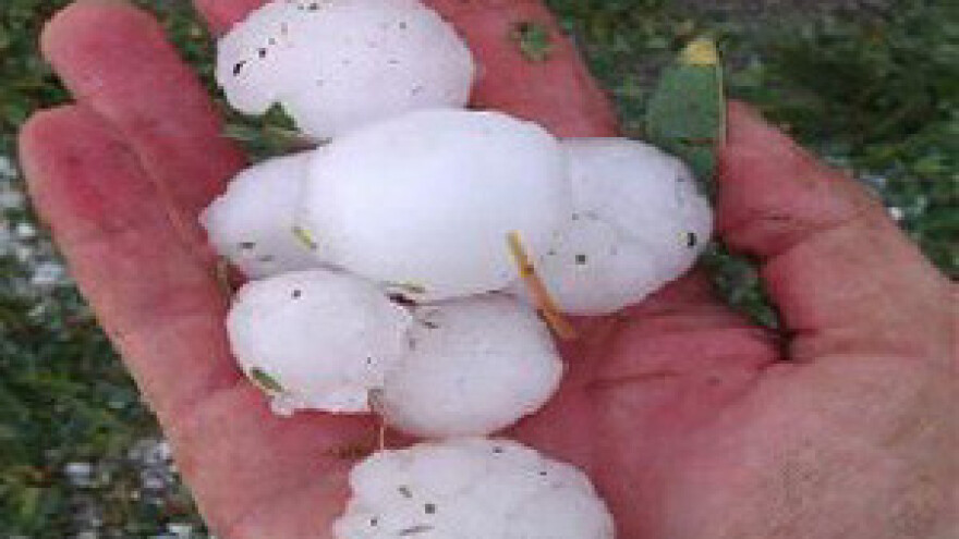 Štete od tuče u vinogradima i voćnjacima