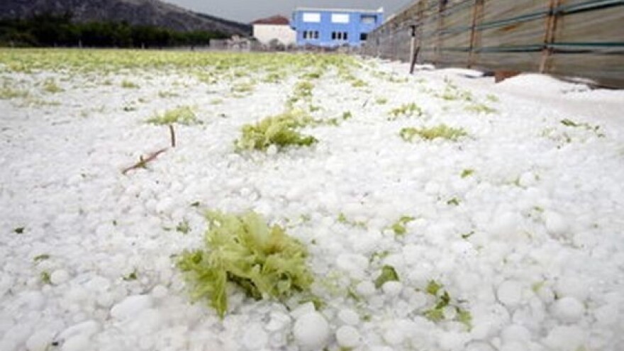 Donji Miholjac pogodila elementarna nepogoda!