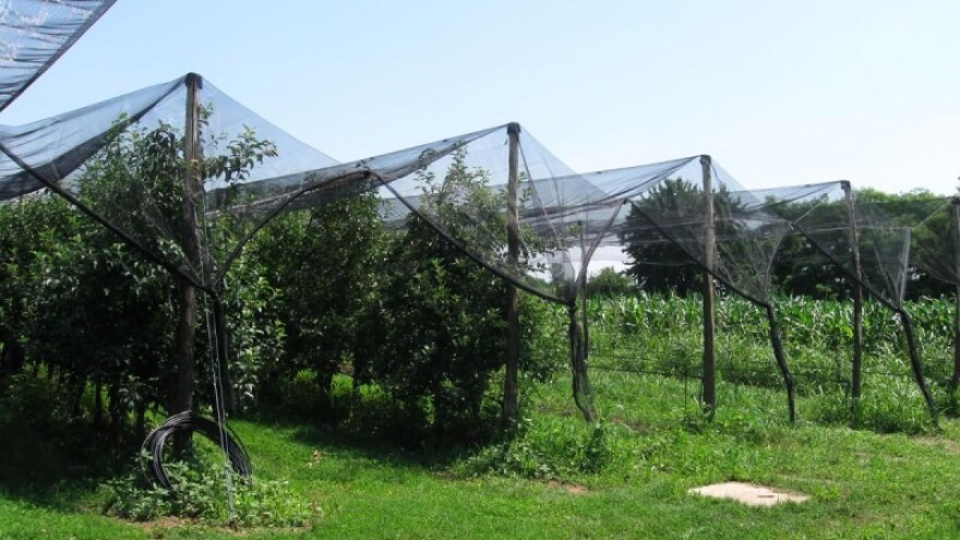 Gotovo pola milijuna kuna za protugradnu mrežu!