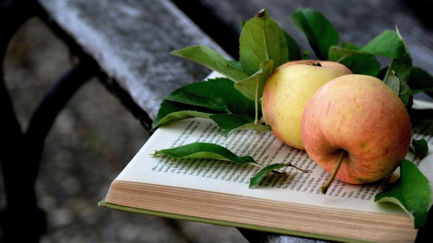 Turcizmi prevladavaju poljoprivrednim rječnikom - od ajvara do žrvnja