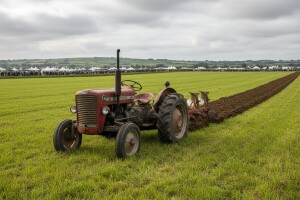 Tugomir Majdak na irskom natjecanju u oranju!