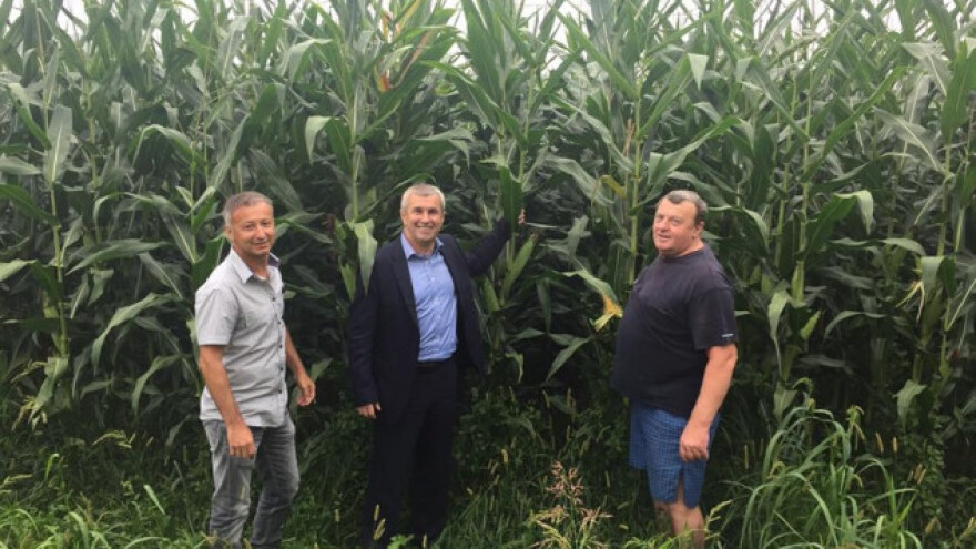 Bez poreza i komasacije, zemlju onome tko obrađuje