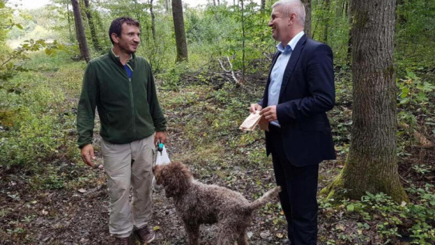 Majdak: Vratit ćemo ljude na selo!