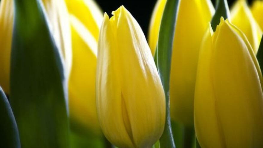 Početak gradnje Zavoda za zaštitu bilja