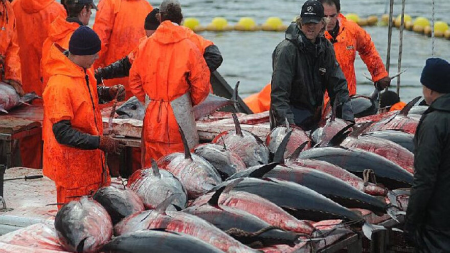 Kilogram tune 300 eura!