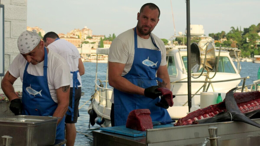 Novi gastro hit u Rovinju - direktno s mora, na molu pripremljena tuna