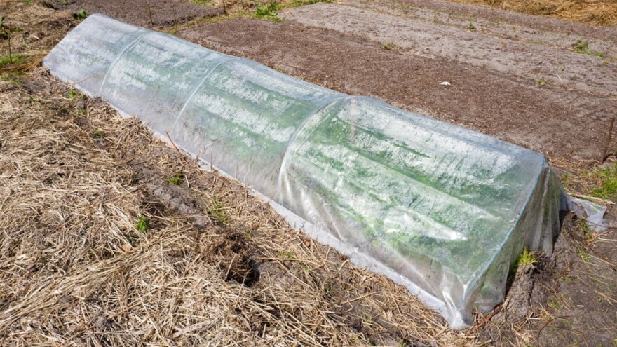Protiv mraza u vrtu vodom, malčem, plastičnim tunelom ili agrotekstilom