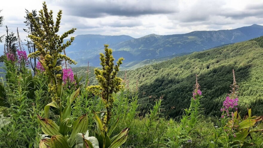 Šta nudi Stara planina u zimskim mesecima?