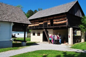 Ruralni i vinski turizam - optimistični izgledi u (post)pandemijskom dobu