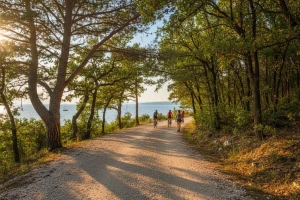 Turizam i šumarstvo mogu i moraju skupa