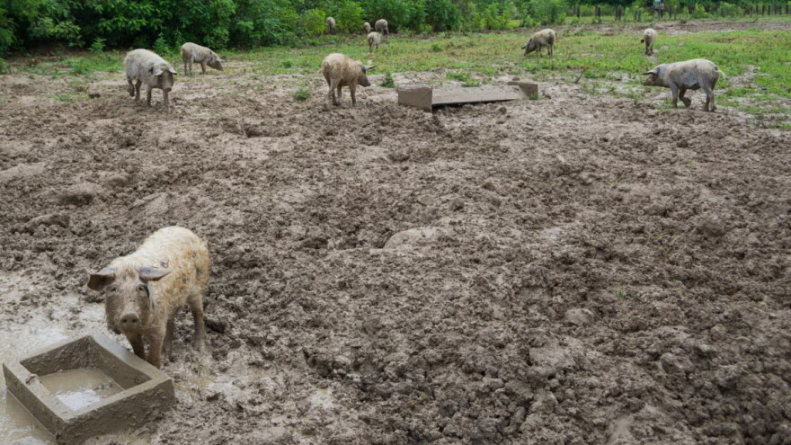 Za očuvanje, održivo korištenje i razvoj genetskih izvora osigurano 10 milijuna kuna