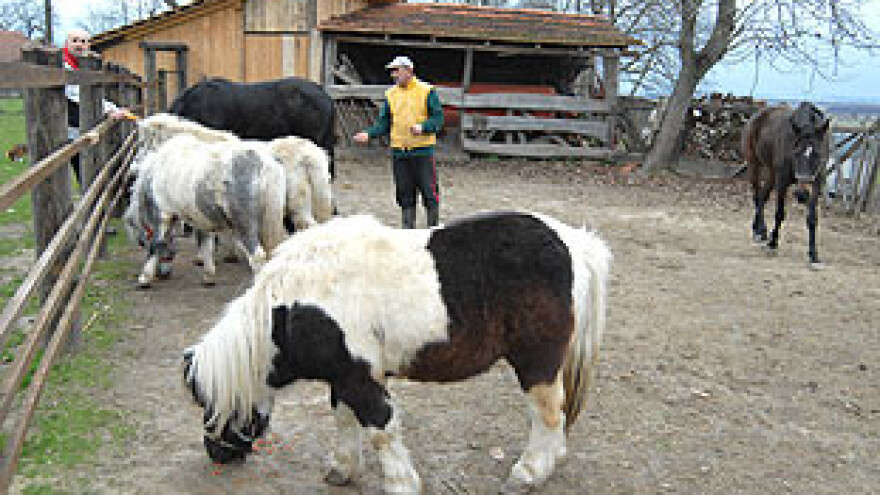 Selo postaje sve atraktivnije