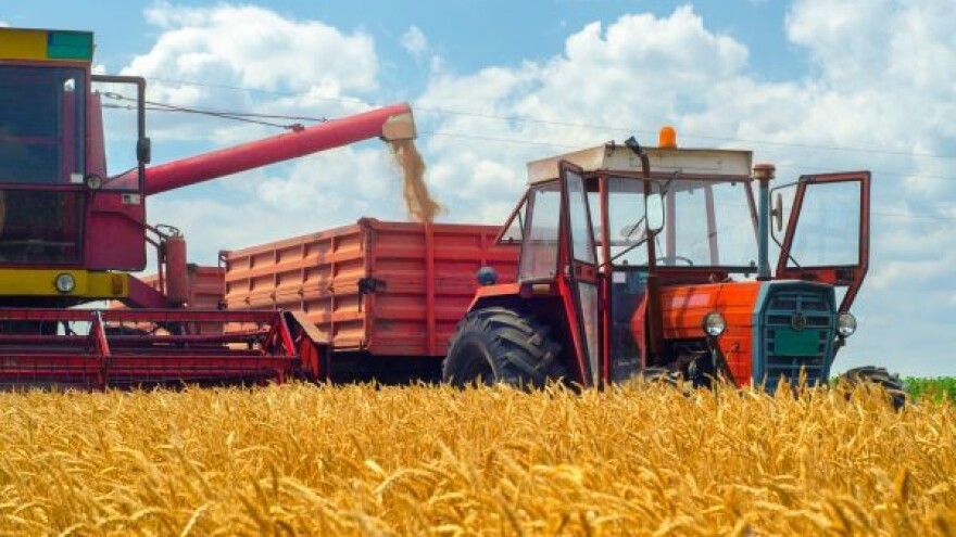 Turci žele pšenicu i kukuruz iz RS