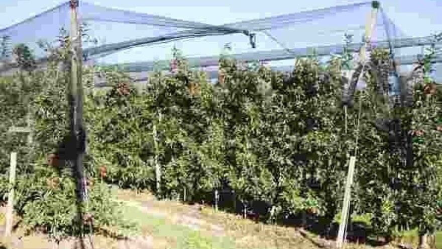 Turci razgovarali o ulaganju u poljoprivredu