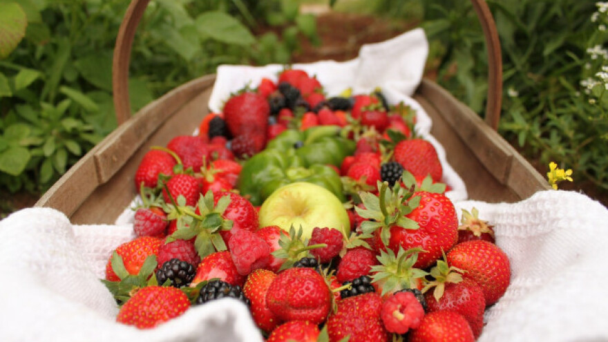 Bosansko-podrinjski kanton - prostor za organsku hranu?