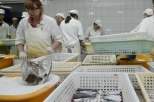 Nova tvornica ribe vrijedna 10 mil. eura