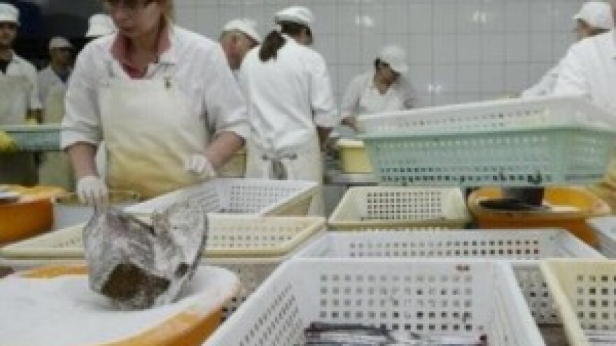 Nova tvornica ribe vrijedna 10 mil. eura