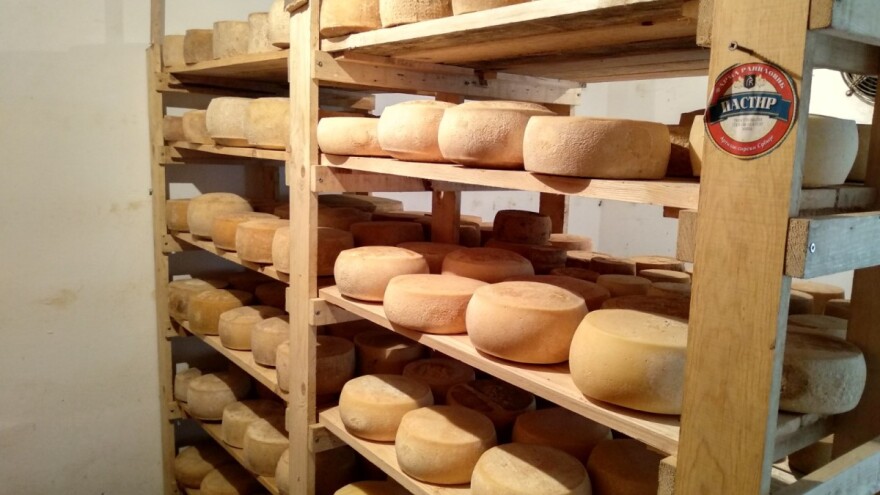 Sir u vinu - novi brend vinske Šumadije