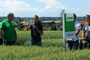 RWA prezentirala najjači sortiment pšenice na hrvatskom tržištu, evo koji su im aduti