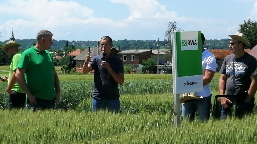 RWA prezentirala najjači sortiment pšenice na hrvatskom tržištu, evo koji su im aduti