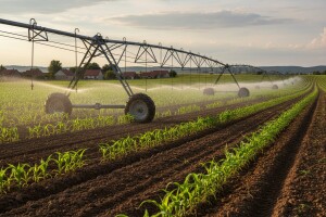 U Baranji će se navodnjavati 5 tisuća hektara!