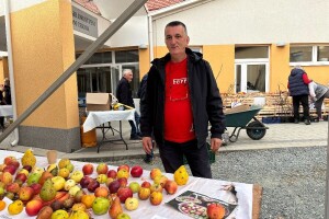 Kako do dobrog voćnjaka? Mlade voćke prvih šest godina zahtijevaju brigu poput djeteta