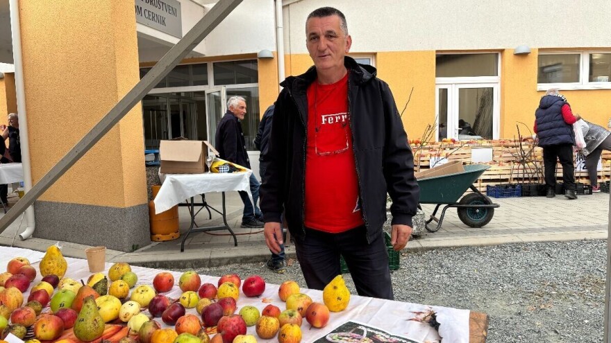 Kako do dobrog voćnjaka? Mlade voćke prvih šest godina zahtijevaju brigu poput djeteta