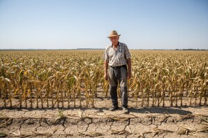 U dijelu Đakovštine žeđaju i ljudi i stoka!