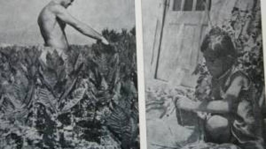 Stare fotografije, kutijice, lule, preše, avani - turistički suveniri