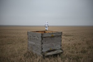 U EU nestalo 13 milijuna košnica