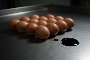 U Hrvatskoj nema kontrole dioksina u namirnicama