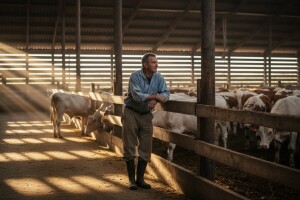 U izvozu šansa za opstanak