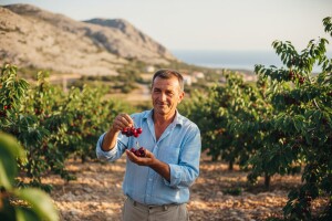 U Katunima svaka višnja ima svoga kuma!