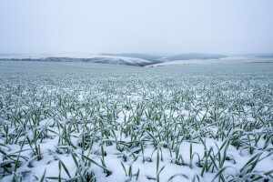 U Krajini, zapadnim i sjevernim područjima Bosne snijeg iduća tri dana
