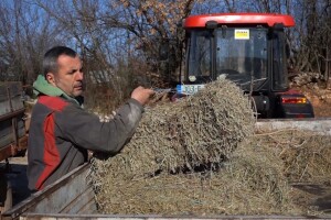 Kada zasuše koze, kod magarica mlijeka ne fali: Nekima popravljamo imunitet, a sebi proračun