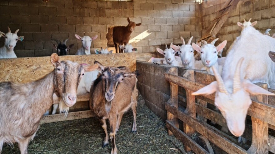 Za poticaje u poljoprivredi, HNK izdvojio 4,3 miliona KM