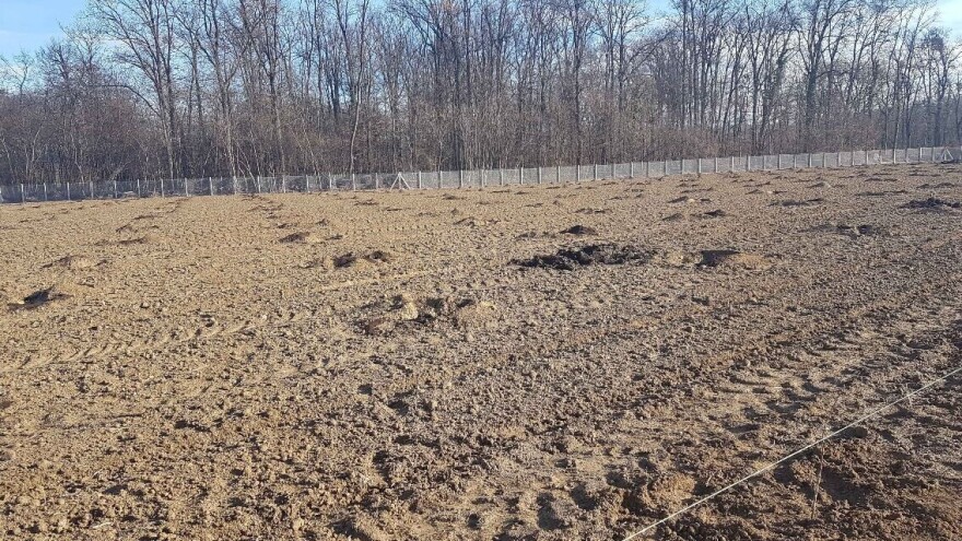 Temperature iznad proseka za ovo doba godine