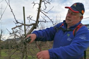 Mladen Dobranić: Ne bude li mraza, voćarima se smiješi dobra godina