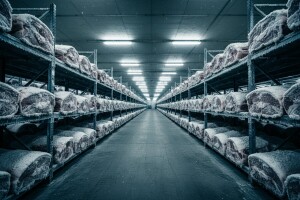 U mesnicama meso staro 10 i više godina